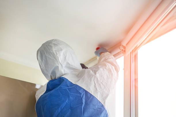 Best Mold Prevention Services in Port Byron, NY