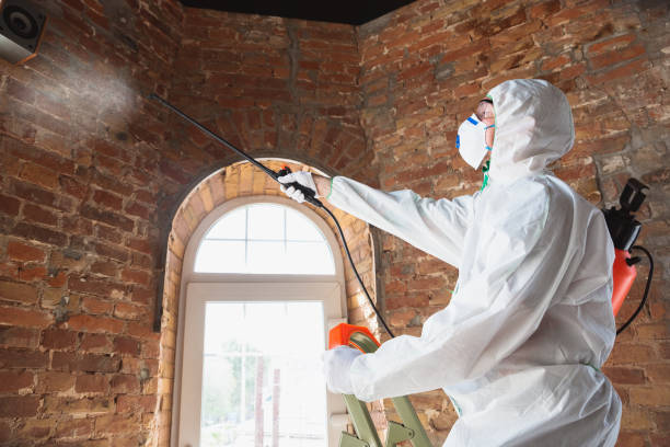 Best Mold Removal for HVAC Installations in Port Byron, NY